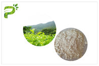 ضد اکسیداسیون EGCG عصاره چای سبز، عصاره چای سبز دارویی
