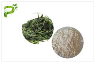 ضد عفونی کننده طبیعی EGCG عصاره چای سبز ضد سرطان پودر CAS 989 51 5