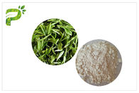 Anti-Caries مکمل های غذایی طبیعی، خمیر دندان EGCG عصاره چای سبز CAS 989 51 5