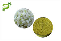 CAS 153-18-4 مکمل های غذایی طبیعی Sophora Japonica Extract Rutin Powder