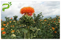 روغن دانه گلرنگ روغن طبیعی گیاه عصاره گیاه روغن گل مکمل برای مکمل رژیم غذایی