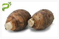پودر عصاره تارو ریشه گیاهی مواد غذایی ایمن مواد غذایی مکمل های بهداشتی
