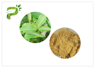 2.0ppm 60 Mesh Green Health Powder HPLC با پلی فنول چای بالاتر