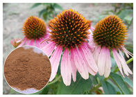 آنتی ویروس اسید چیریک پلی فنول Echinacea pururea Extract powder