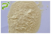 Powder Extract Powder Silybin CAS شماره 22888 70 6 جلوگیری از اختلال در کبد
