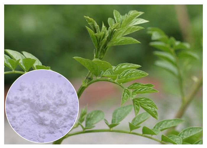 عصاره گیاهی Glabridin عصاره ریشه شیرین بیان برای کاهش نور پوست CAS 59870 68 7