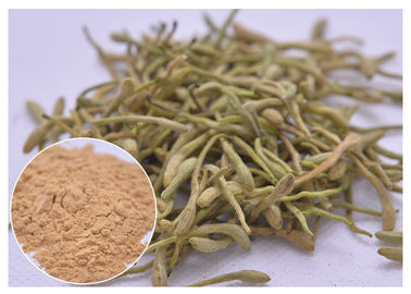 5٪، 25٪ Lonicera japonica استخراج پودر گل عسل
