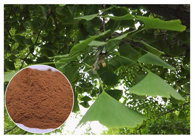 عصاره گیاه طبیعی از ابتلا به بیماریهای قلبی عروقی Ginkgo Biloba Lee عصاره برگ درجه EP جلوگیری می کند