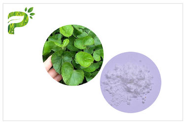 CAS 34540 22 2 عصاره Centella Asiatica، Madecassoside Gotu Kola عصاره