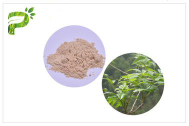 عصاره Ampelopsis Grossedentata Dihydromyricetin / DHM برای سندرم های پاتوژن CAS 27200 12 0
