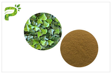 درمان سرفه خالص مکمل های گیاهی Ivy Leaf Extract Hedera Helix Hederacoside 10٪